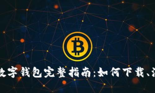 建设银行数字钱包完整指南：如何下载、注册与使用