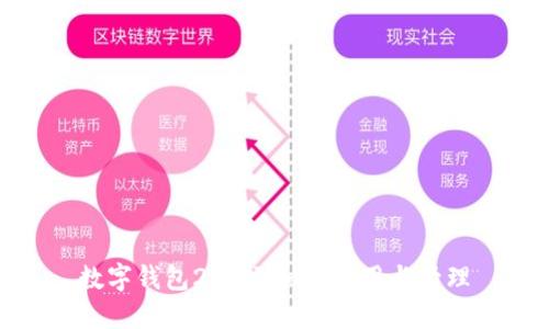 数字钱包200元如何使用与管理