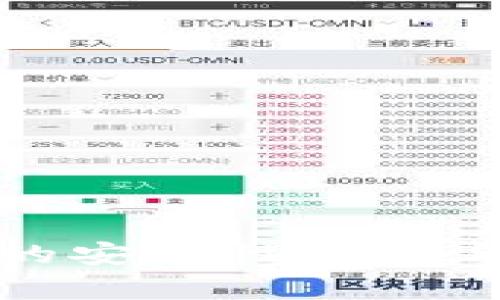 数字钱包的安全性分析与用户指南