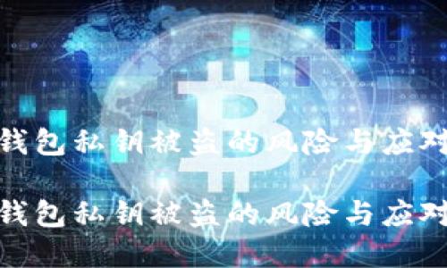 数字钱包私钥被盗的风险与应对策略

数字钱包私钥被盗的风险与应对策略