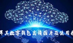 土耳其数字钱包高清图片