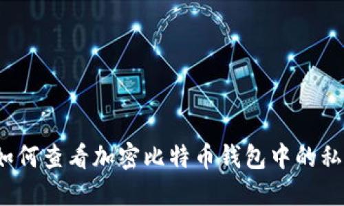  如何查看加密比特币钱包中的私钥