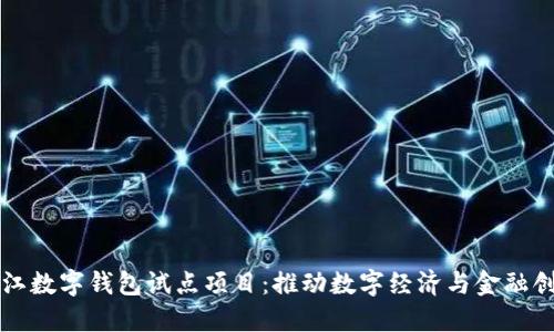 浙江数字钱包试点项目：推动数字经济与金融创新