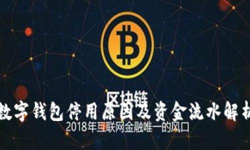 数字钱包停用原因及资金流水解析