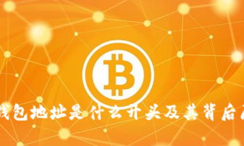 区块链钱包地址是什么开头及其背后原理解析