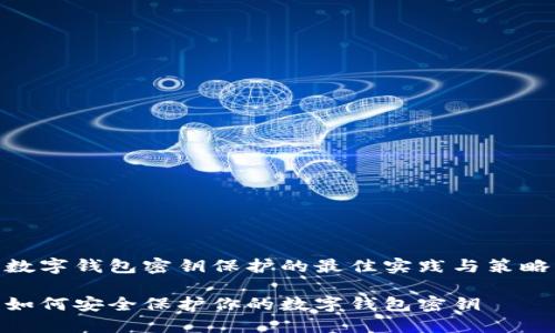 数字钱包密钥保护的最佳实践与策略

如何安全保护你的数字钱包密钥