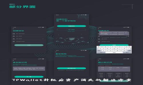TPWallet升级后资产消失的解决方案