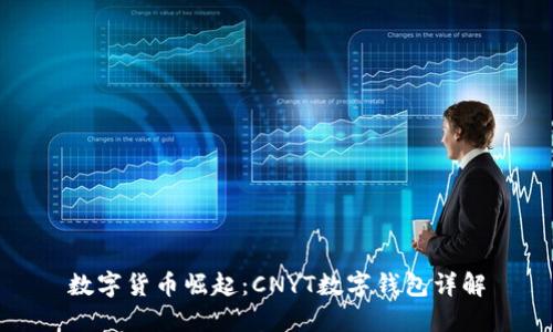 数字货币崛起：CNYT数字钱包详解
