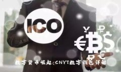 数字货币崛起：CNYT数字钱