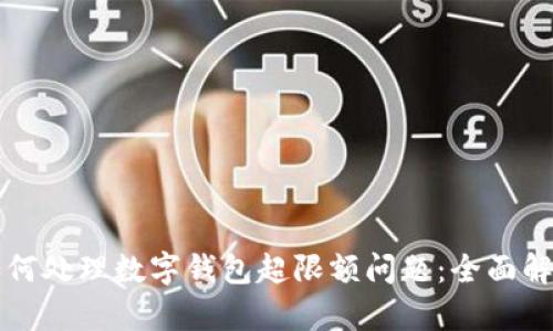 如何处理数字钱包超限额问题：全面解析
