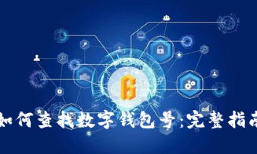 如何查找数字钱包号：完整指南