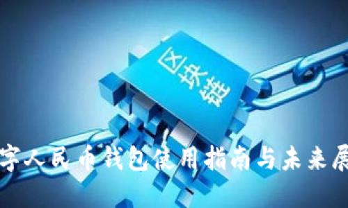 数字人民币钱包使用指南与未来展望
