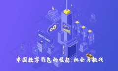 中国数字钱包的崛起：机