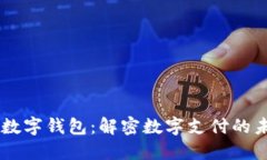 EC数字钱包：解密数字支付