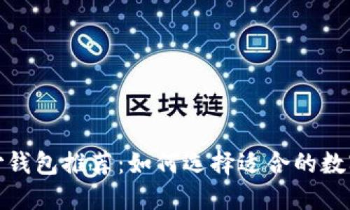 数字币支付钱包推荐：如何选择适合的数字货币钱包