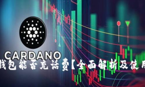 数字钱包能否充话费？全面解析及使用指南