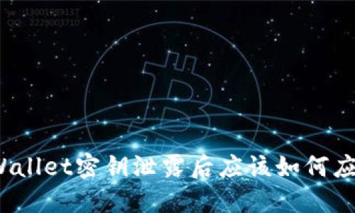 TPWallet密钥泄露后应该如何应对？