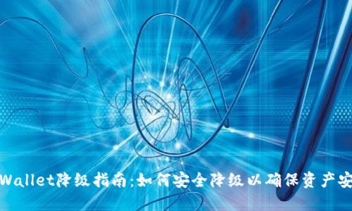 TPWallet降级指南：如何安全降级以确保资产安全