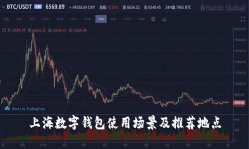 上海数字钱包使用场景及推荐地点