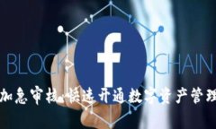 数字钱包加急审核：快速
