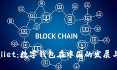 TPWallet：数字钱包在中国的