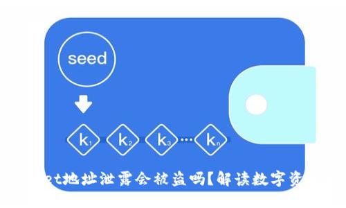 TPWallet地址泄露会被盗吗？解读数字资产安全