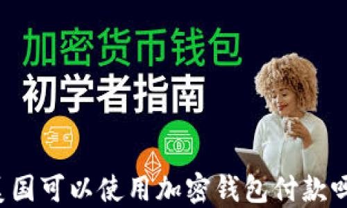 
美国可以使用加密钱包付款吗？