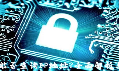 
TPWallet能否查询IP地址?全面解析与实际应用