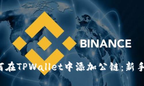  如何在TPWallet中添加公链：新手指南