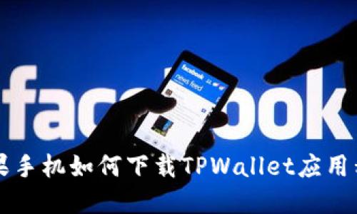 苹果手机如何下载TPWallet应用程序