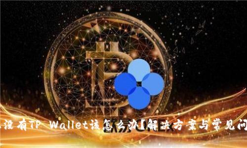 手机上没有TP Wallet该怎么办？解决方案与常见问题解析