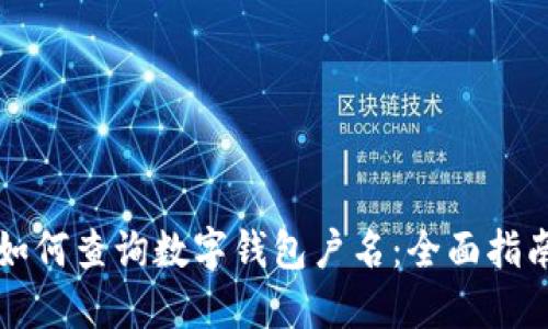 如何查询数字钱包户名：全面指南