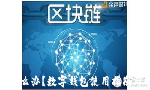 
钱包全是数字怎么办？数字钱包使用指南与常见问题解答