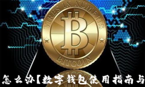 
钱包全是数字怎么办？数字钱包使用指南与常见问题解答