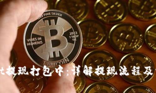 TPWallet提现打包中：详解提现流程及常见问题