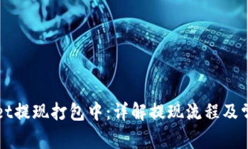 TPWallet提现打包中：详解提现流程及常见问题