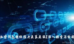 加密钱包转账图片是真是