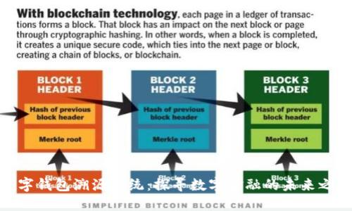 数字钱包溯源系统：探寻数字金融的未来之路