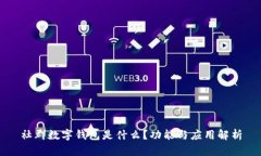 社群数字钱包是什么？功