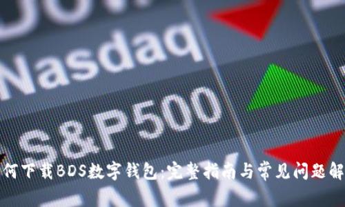 如何下载BDS数字钱包：完整指南与常见问题解答