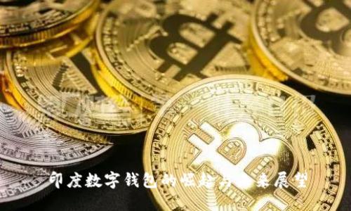 印度数字钱包的崛起与未来展望