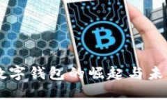 印度数字钱包的崛起与未