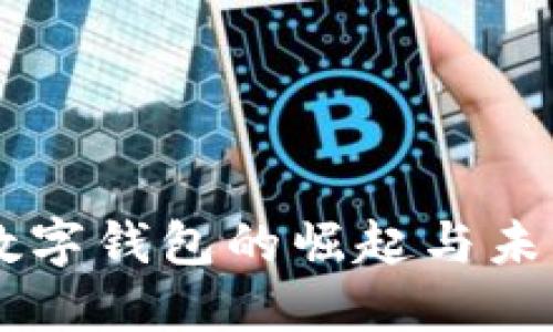 印度数字钱包的崛起与未来展望