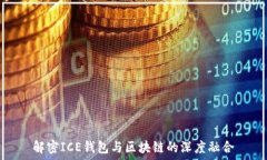   解密ICE钱包与区块链的深