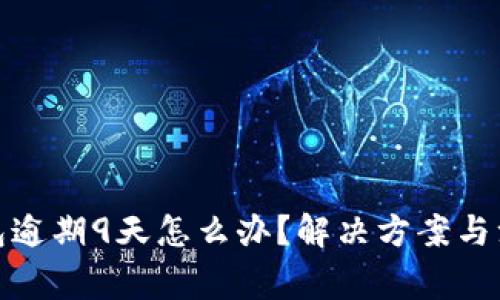 数字钱包逾期9天怎么办？解决方案与注意事项