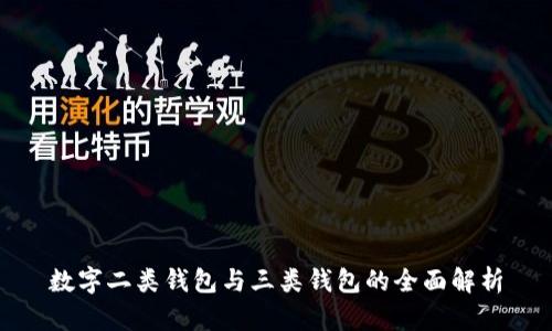 数字二类钱包与三类钱包的全面解析