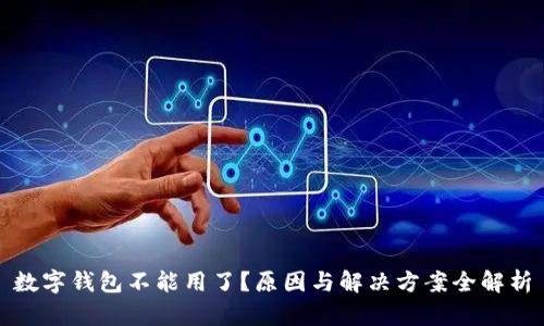 数字钱包不能用了？原因与解决方案全解析