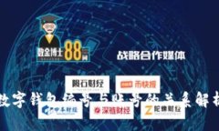 数字钱包编号与账号的关