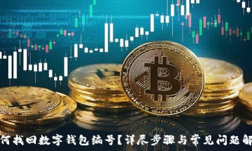   
如何找回数字钱包编号？详尽步骤与常见问题解答