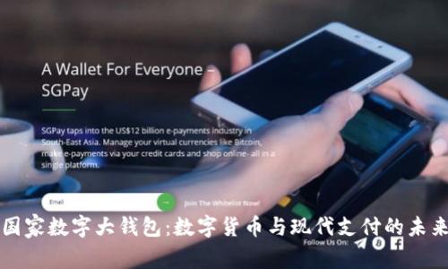 国家数字大钱包：数字货币与现代支付的未来